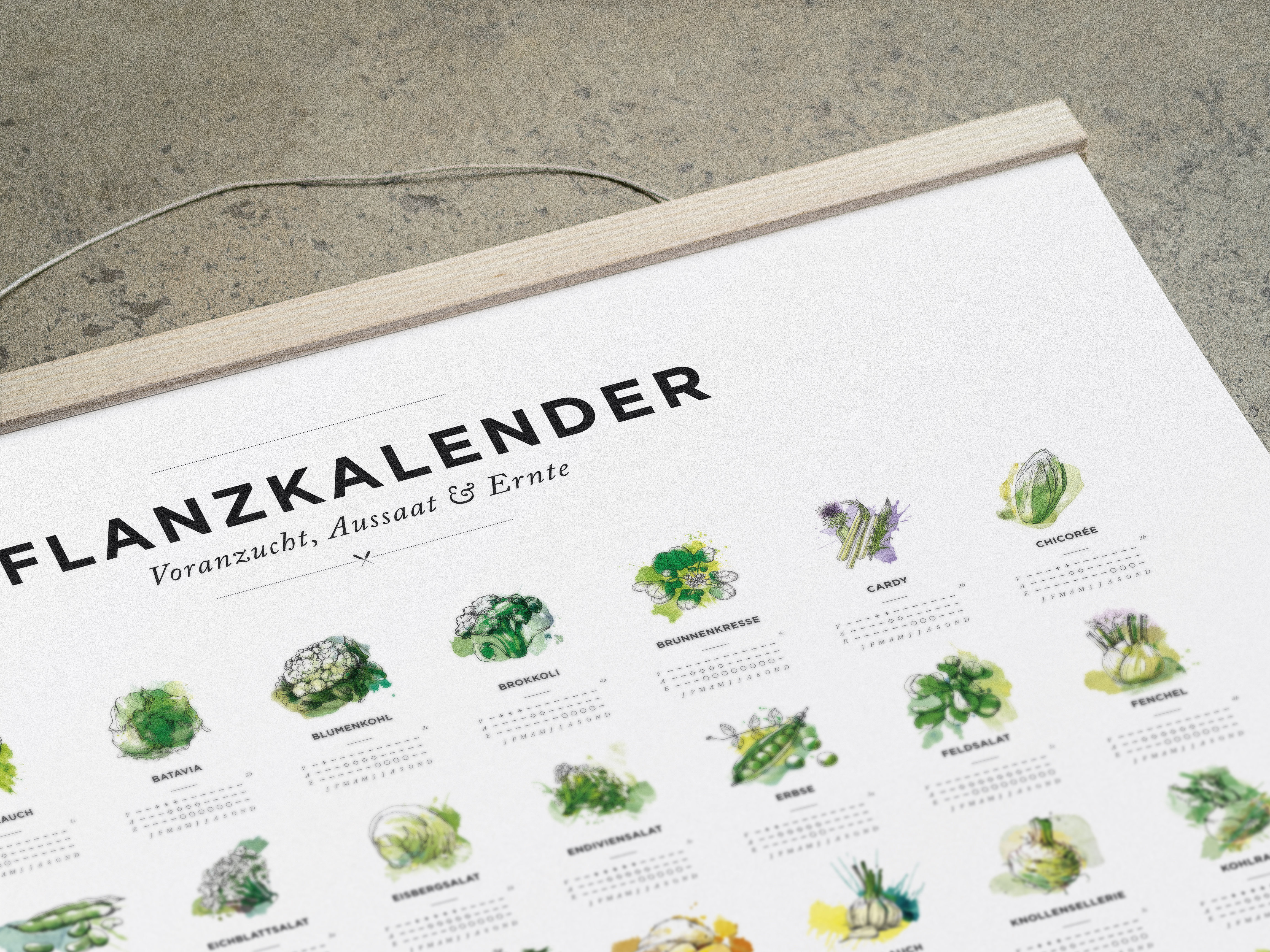Pflanzkalender und Aussaatkalender für den Garten, Aussaatzeiten für 64 verschiedene Gemüsesorten als Poster in Farbe 