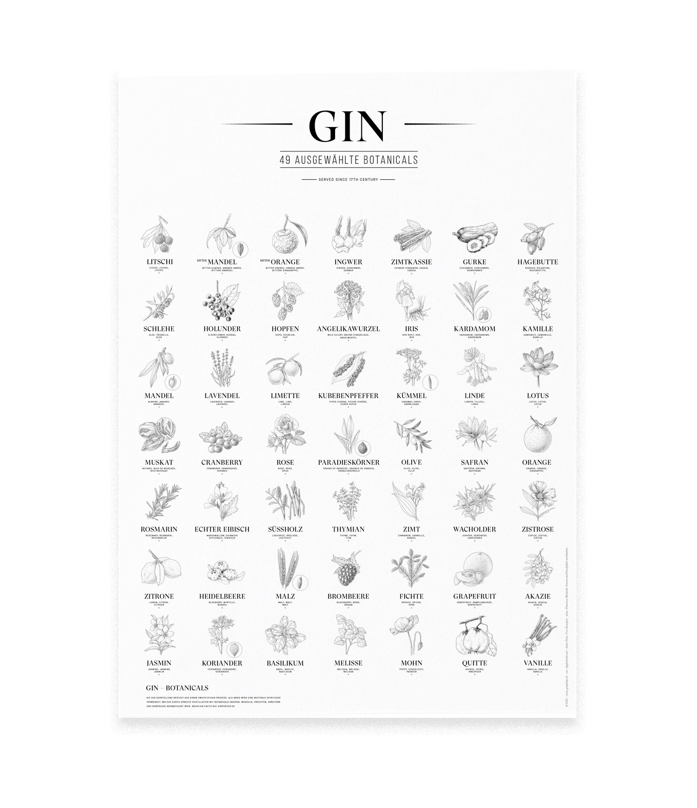 Gin Plakat, 49 ausgewählte Botanicals, Schwarz-Weiß, Format: A2